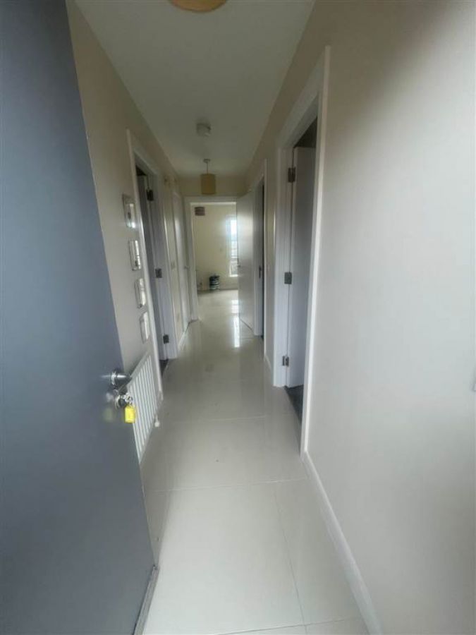 College Central, 904
