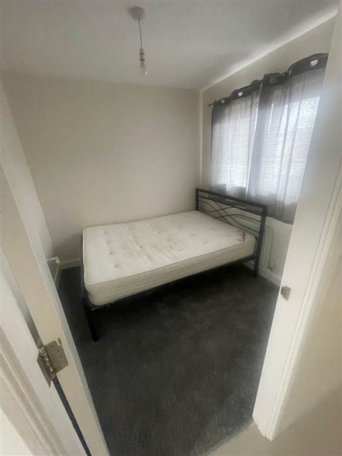 College Central, 904