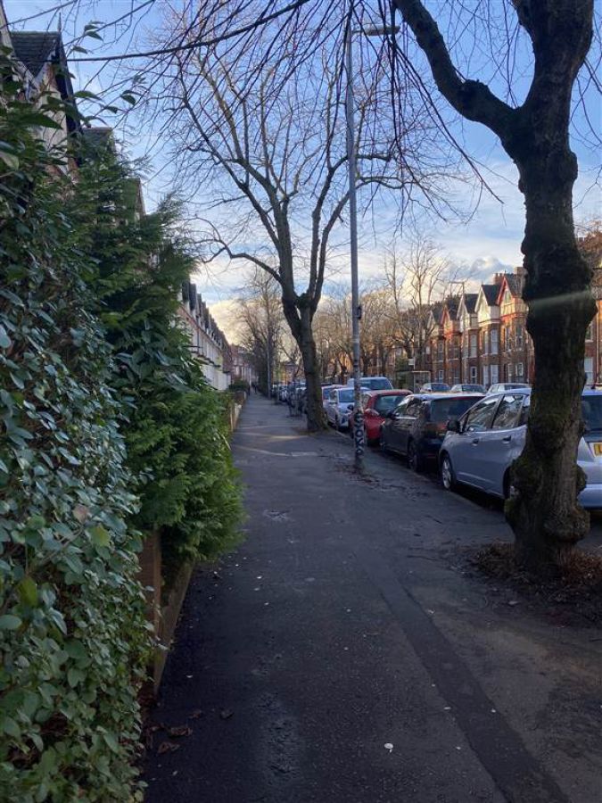 127 University Avenue, Apartment 1