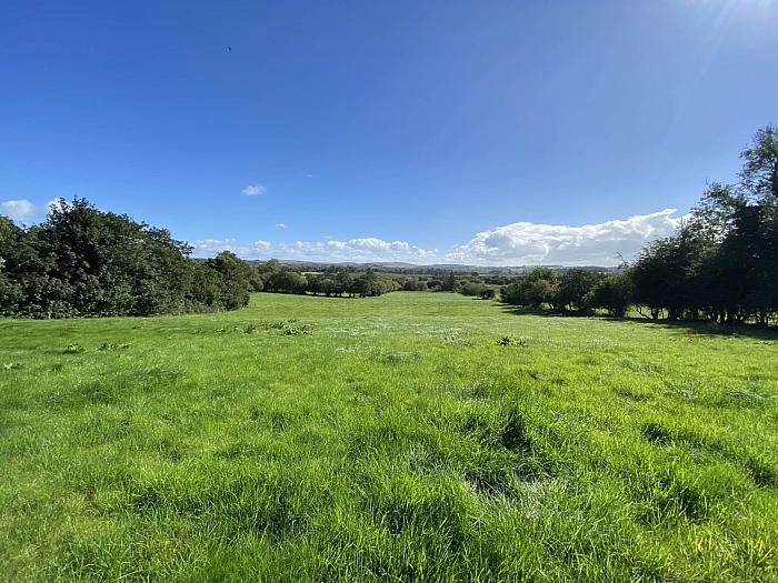 Agricultural Land Lowtown Road, glenavy lisburn, crumlin, BT29 4PB