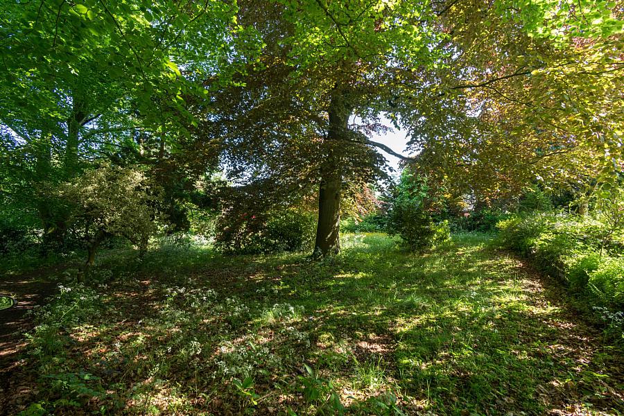 Milltown House 35 Derriaghy Road