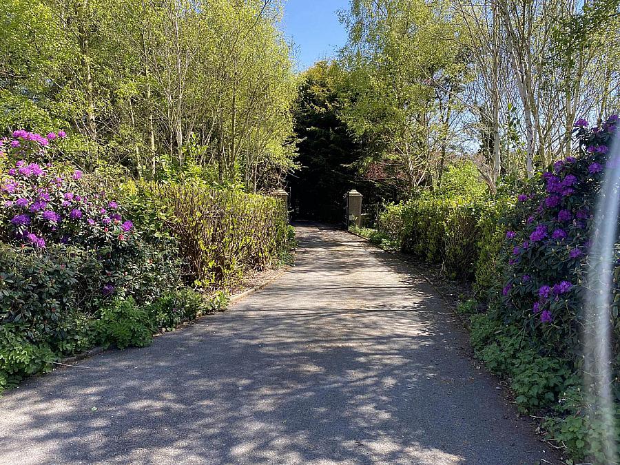 386 Upper Ballynahinch Road
