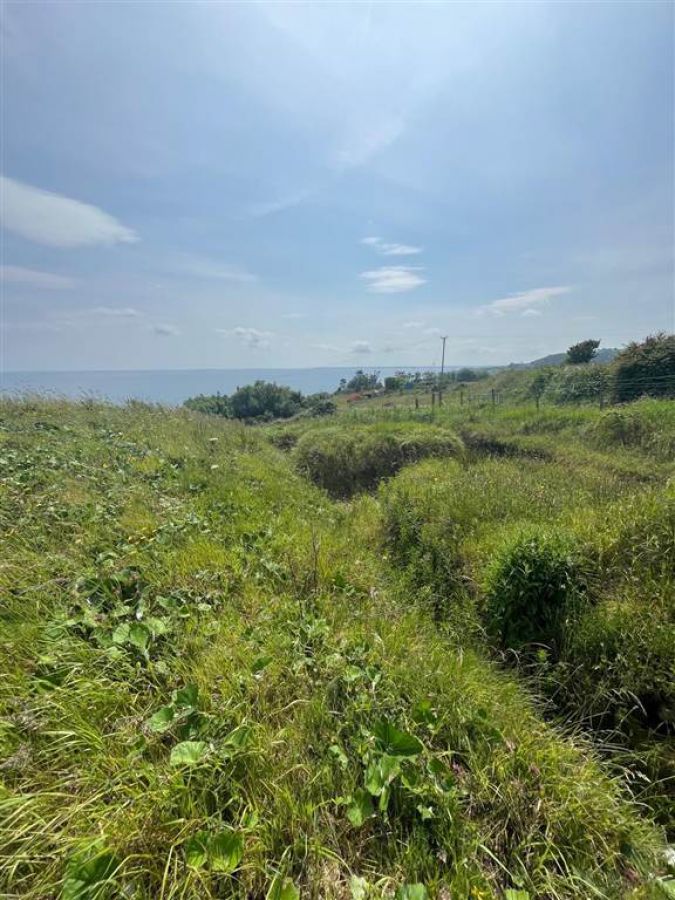 66 Gobbins Road