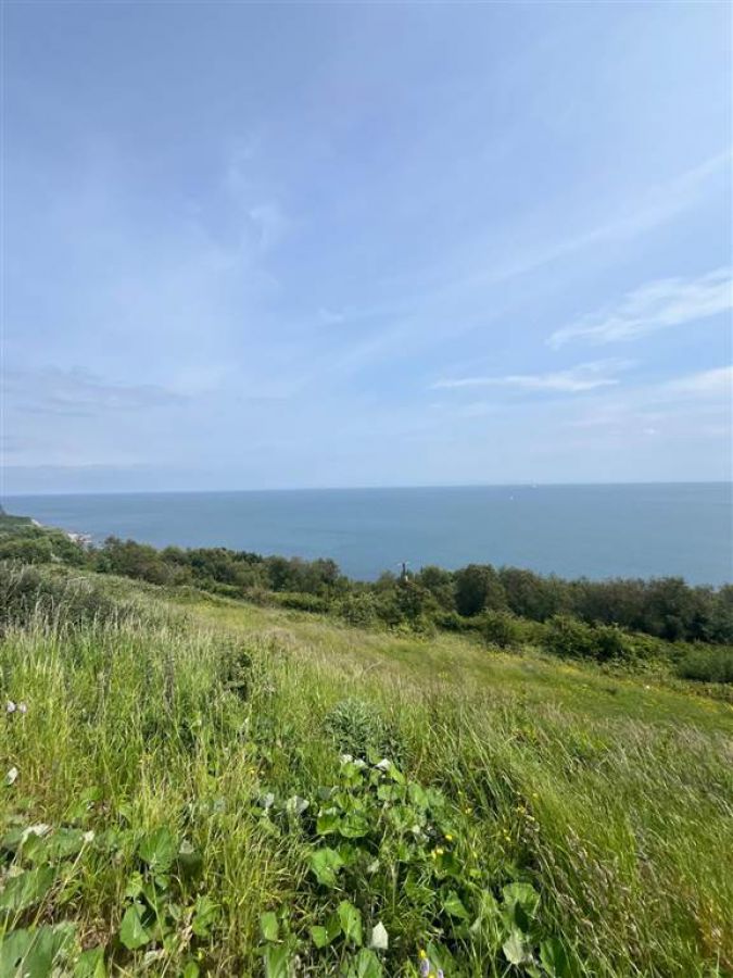 66 Gobbins Road