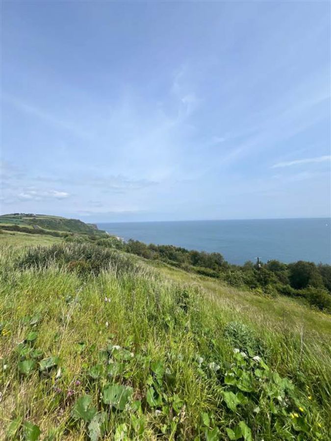 66 Gobbins Road