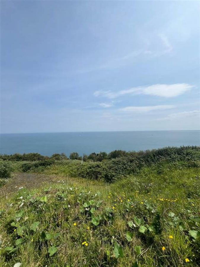 66 Gobbins Road