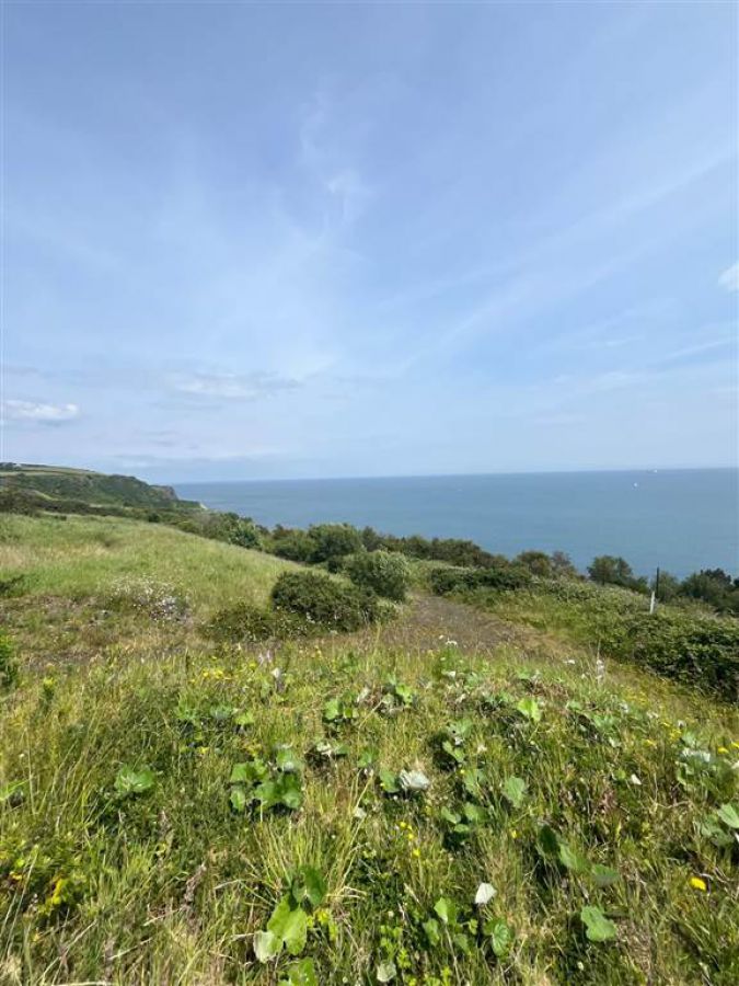 66 Gobbins Road