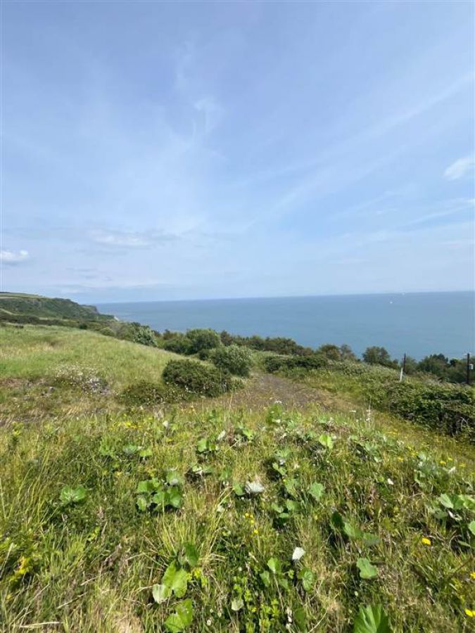 66 Gobbins Road