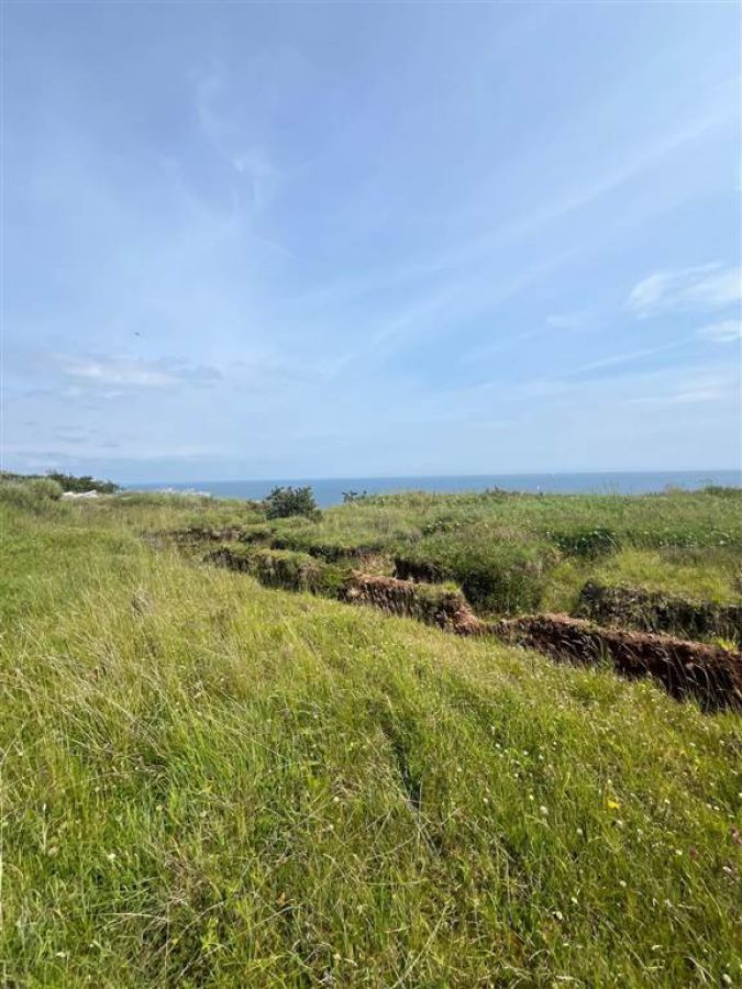 66 Gobbins Road