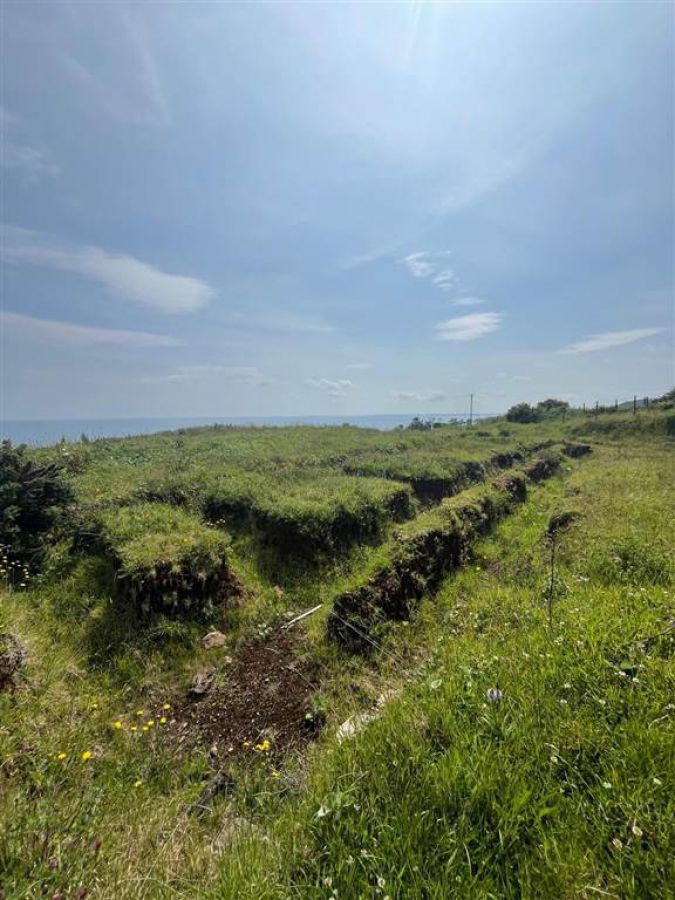 66 Gobbins Road