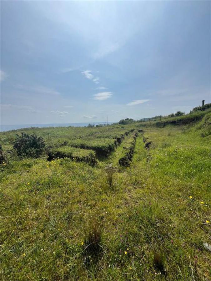 66 Gobbins Road