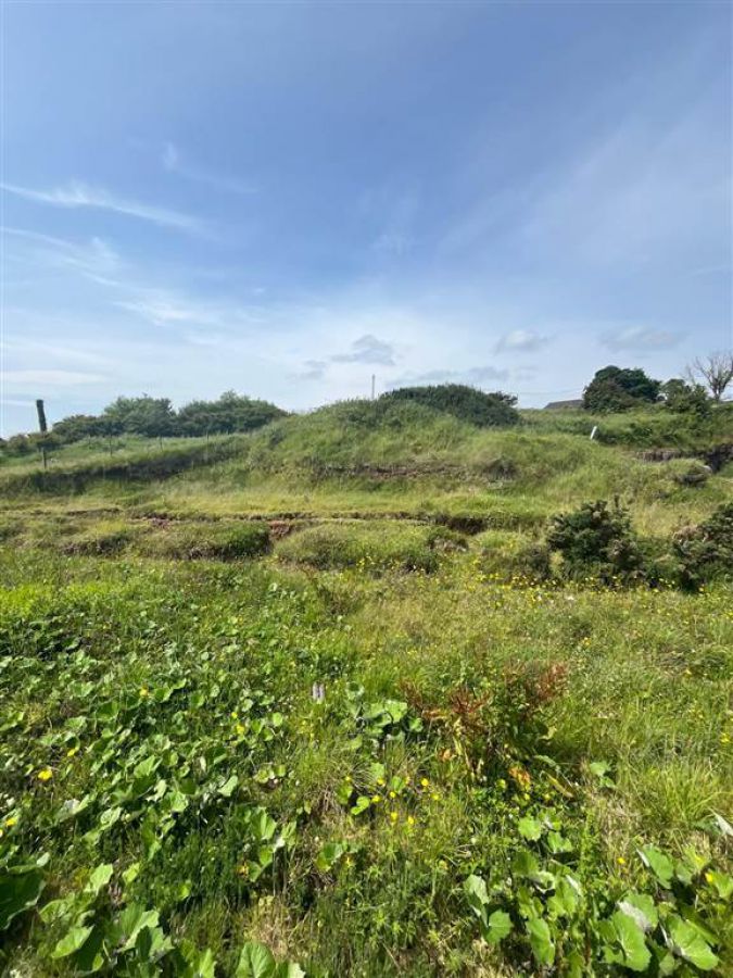 66 Gobbins Road