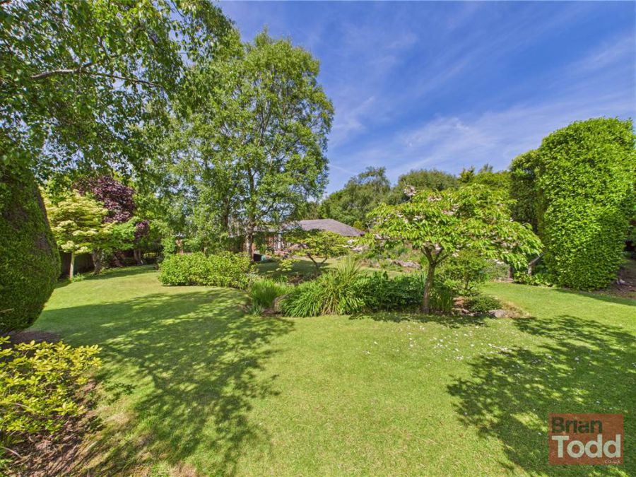 293 Old Glenarm Road