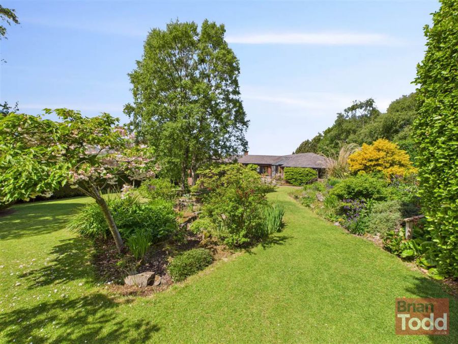 293 Old Glenarm Road