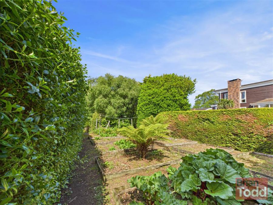 293 Old Glenarm Road