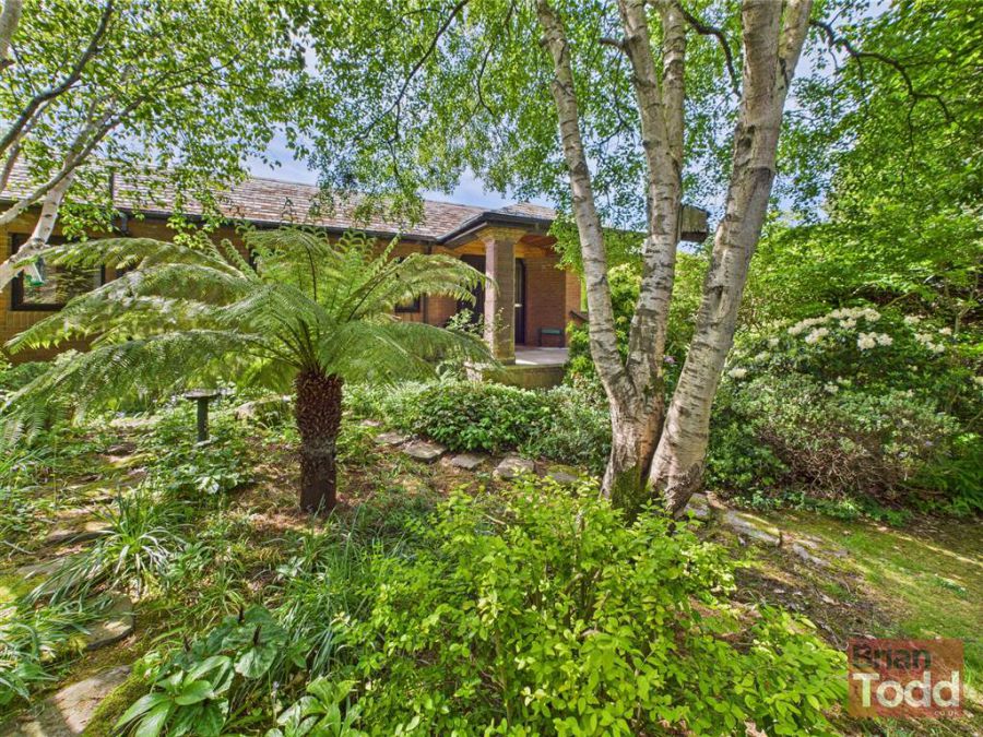 293 Old Glenarm Road