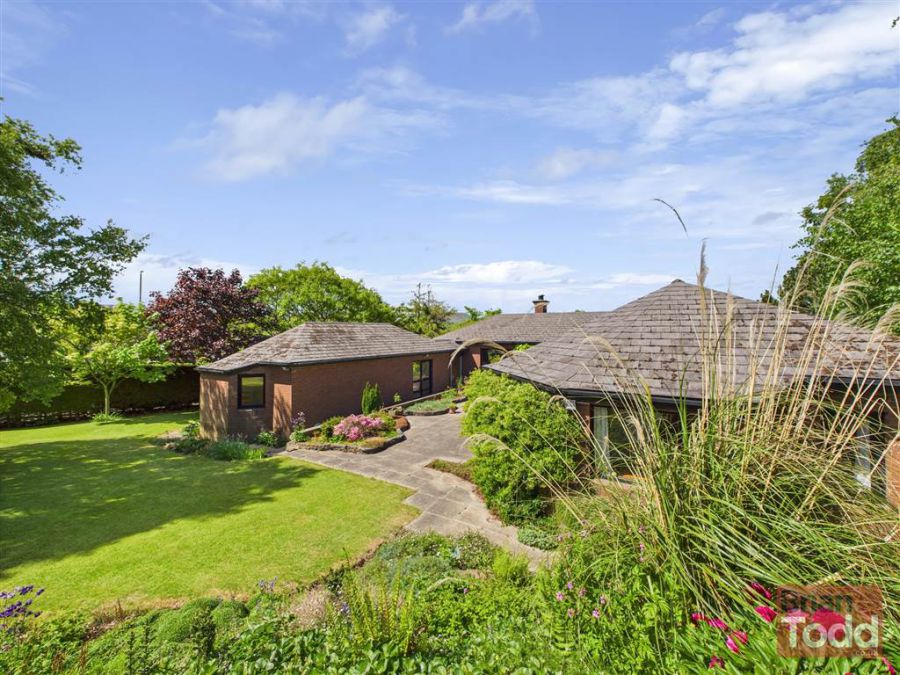 293 Old Glenarm Road