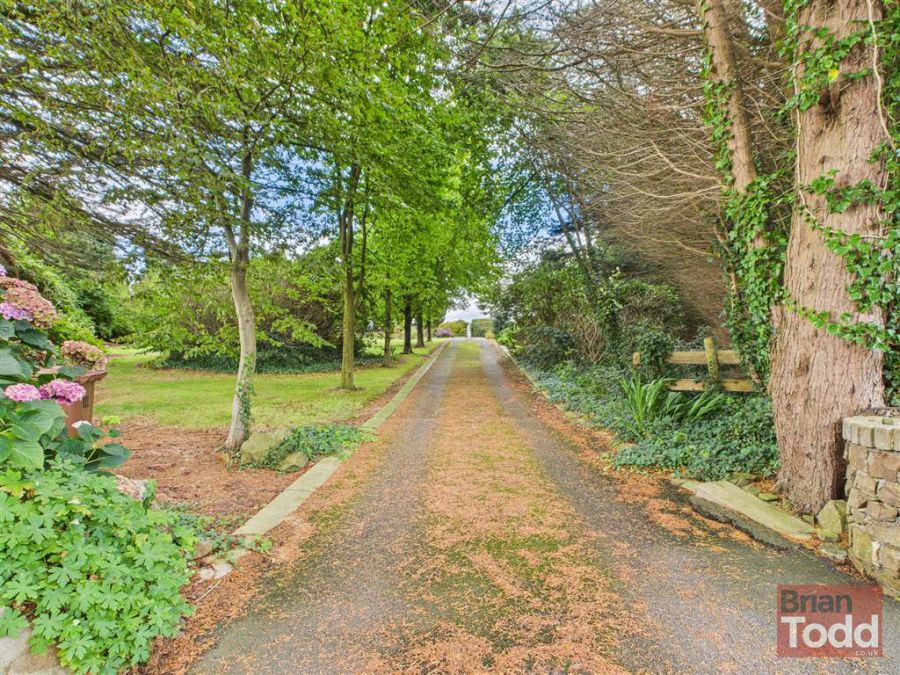 111 Drumahoe Road