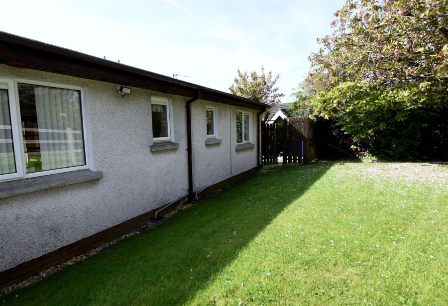 24 Old Movilla Road