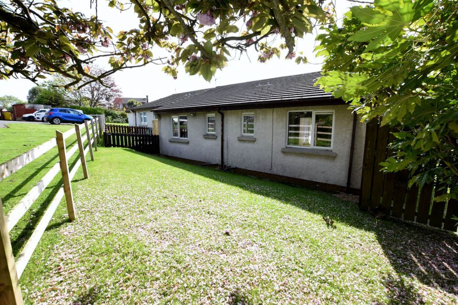 24 Old Movilla Road