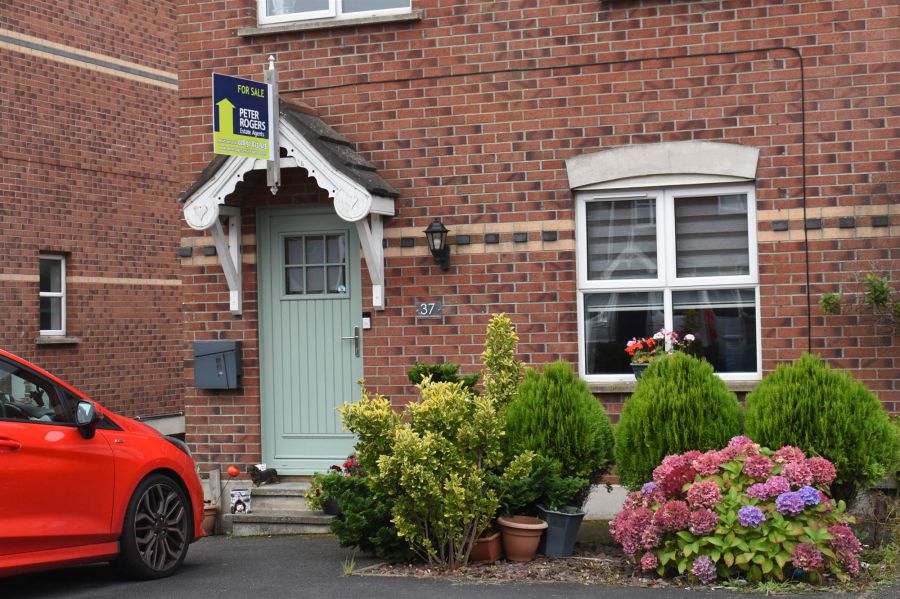37 Whitethorn Avenue