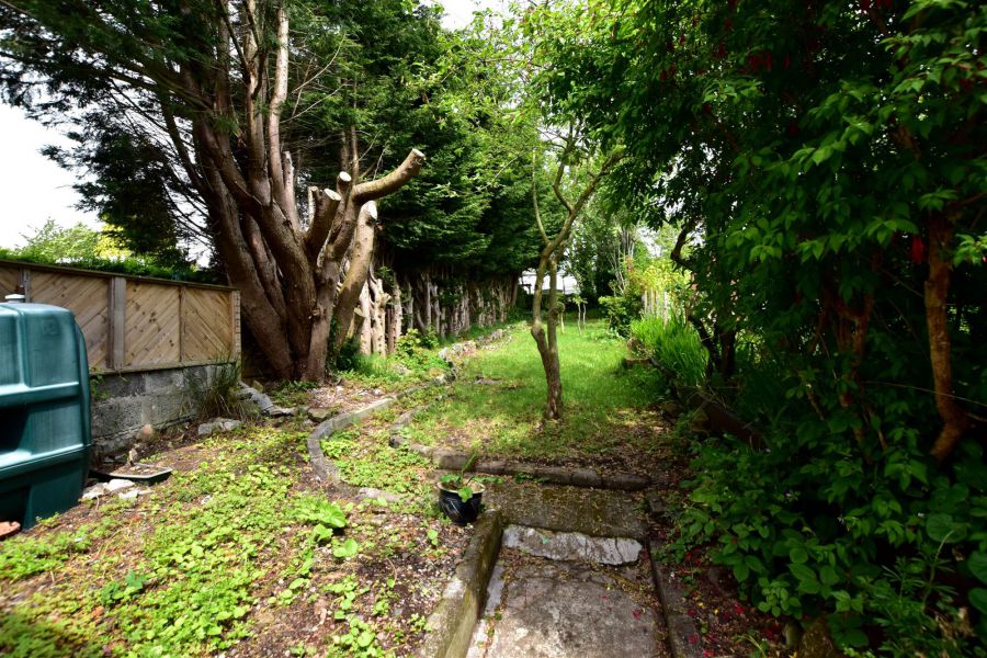 37 Balfour Street