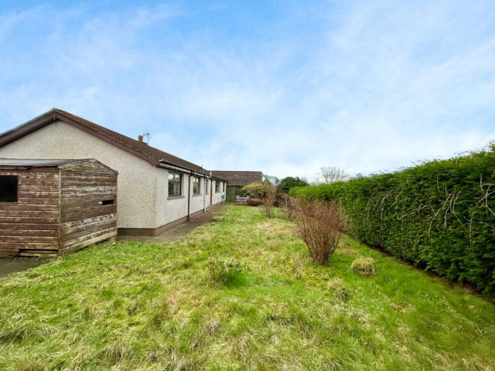 58 Larne Road