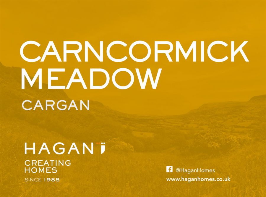 The Knocklayd, Site 23 Carncormick Meadow