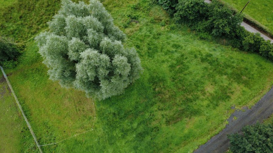 Equestrian Yard & Paddock, 51a Rankinstown Road