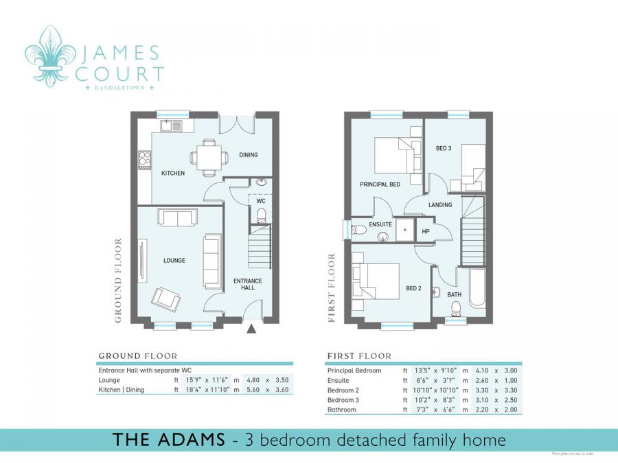 The Adams James Court