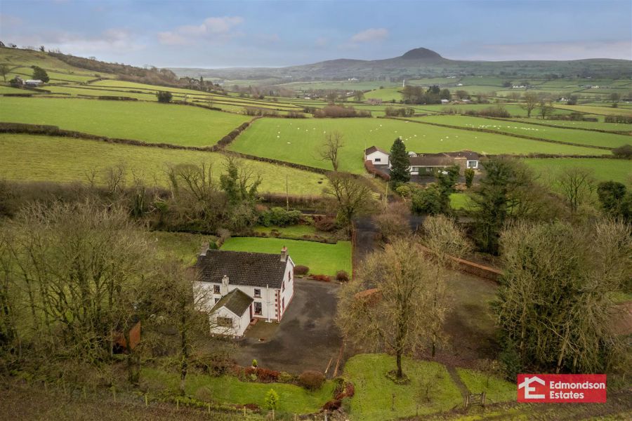 20 Loughloughan Road