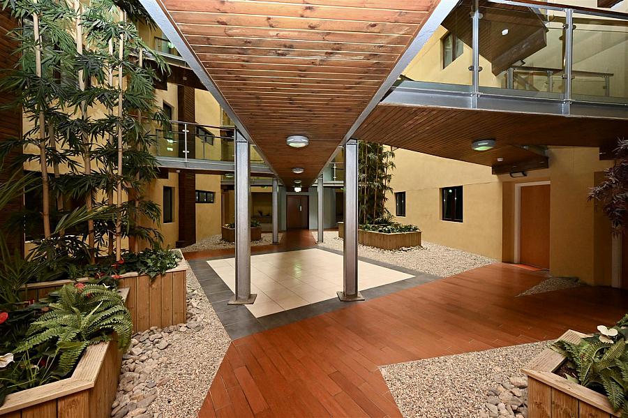 Apt 2 Winter Gardens 34 Alfred Street