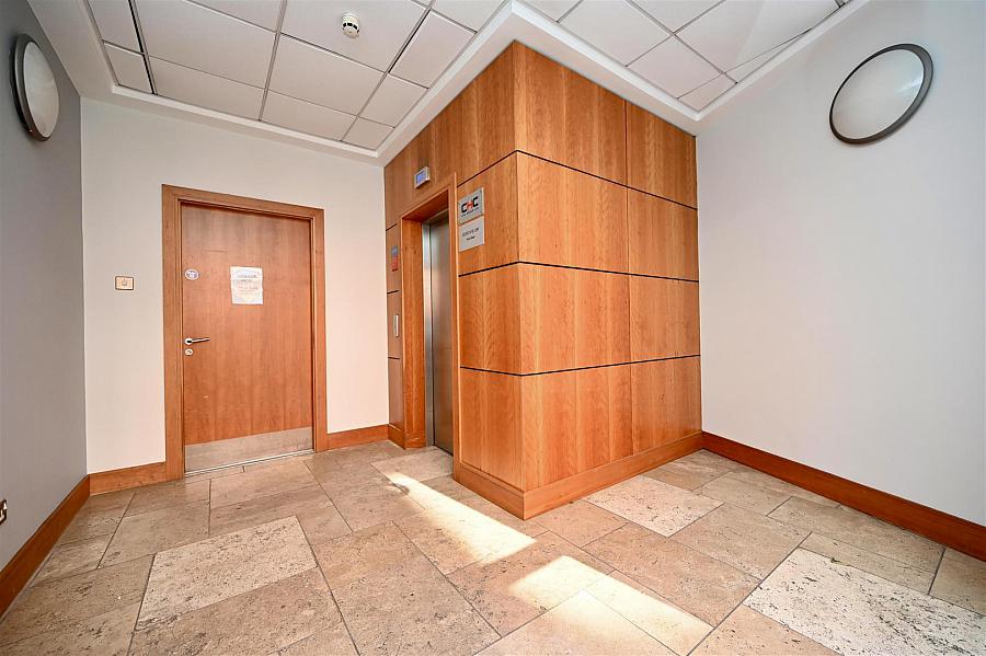 1st Floor Rochester Building 28 Adelaide Street