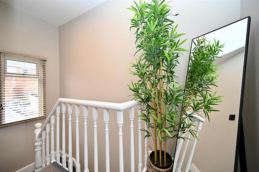 10 Charleville Avenue