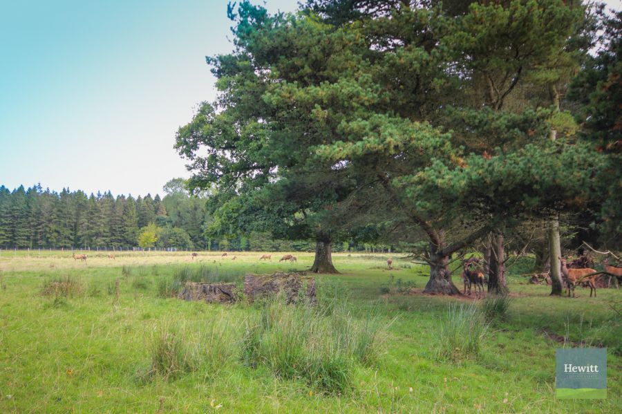 4a Gosford Castle