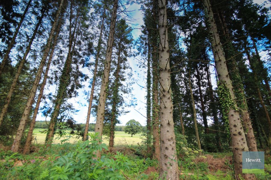 4a Gosford Castle