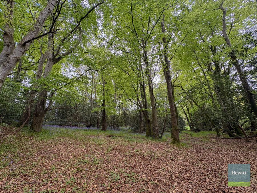 Cargans Road