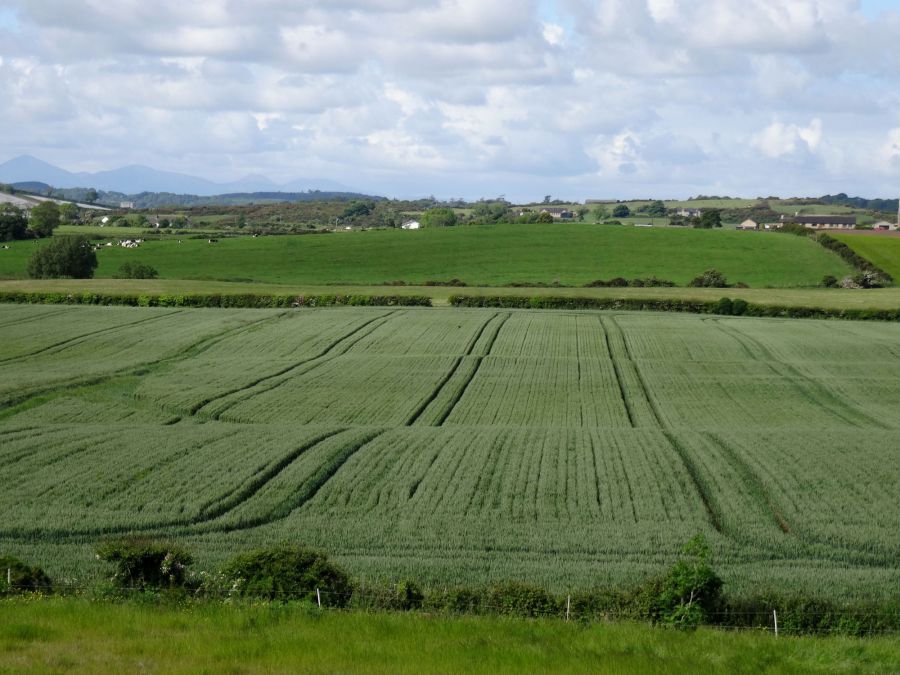 100m South of, 12 Ballygalget Road