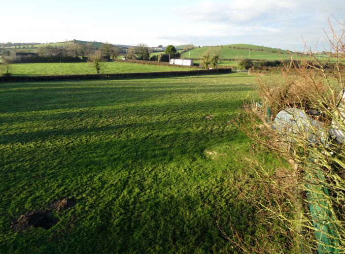 Site Immediatley Adjacent 9 Ballyblack Road