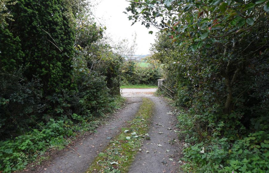 49  Inishargy Road