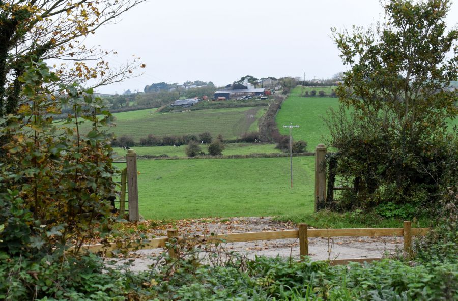 49  Inishargy Road