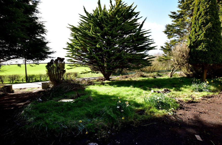 19 Ballyblack Road East