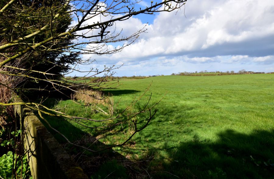 19 Ballyblack Road East