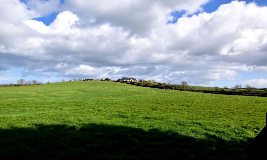 19 Ballyblack Road East