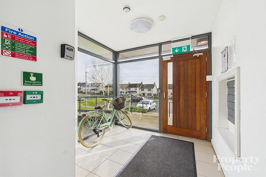 2D, Knocksallagh Green