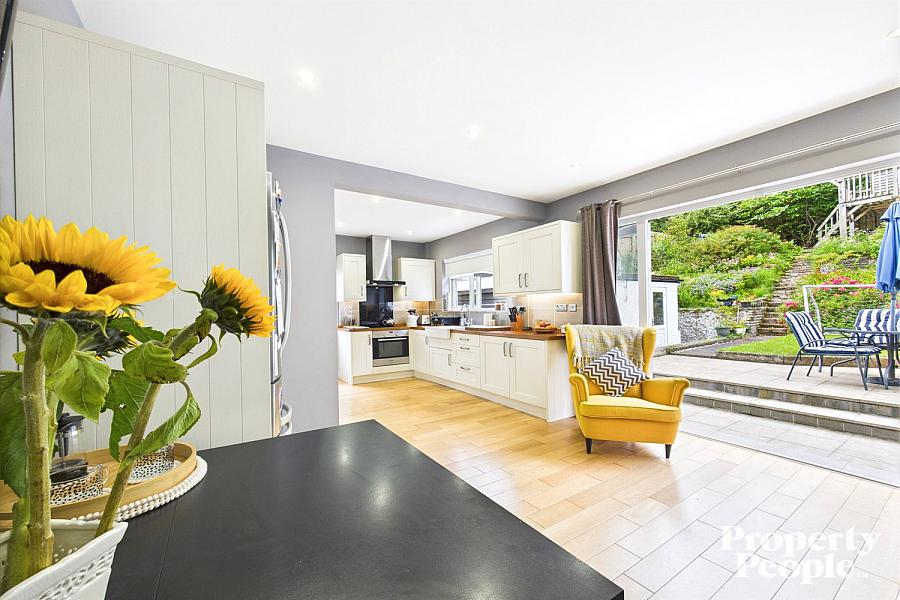 22 Shancoole Park