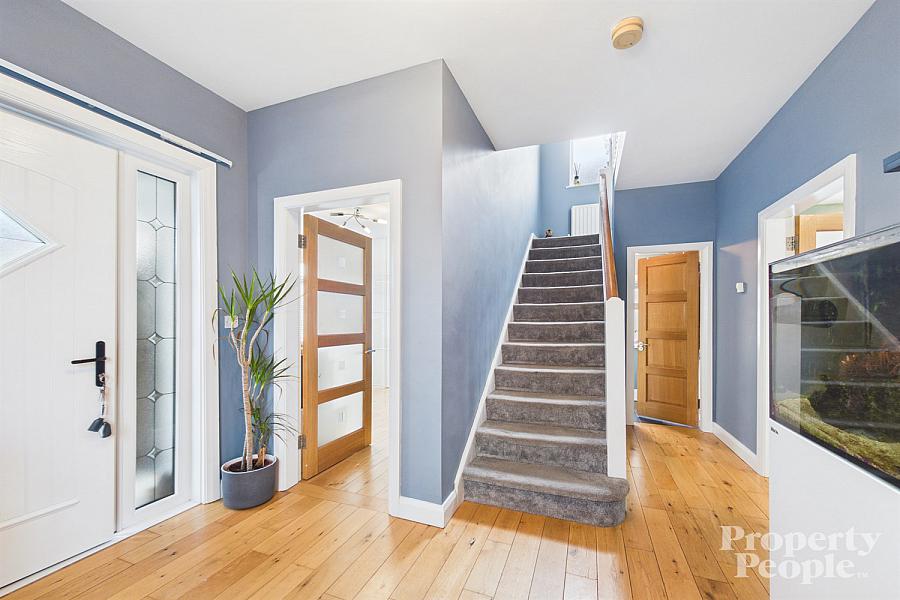 39 Finaghy Road South