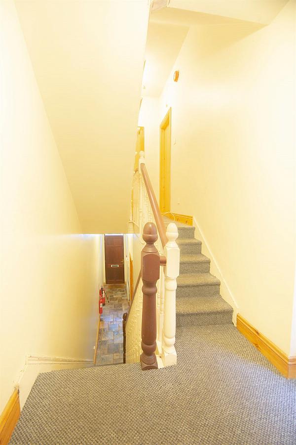 52 University Avenue