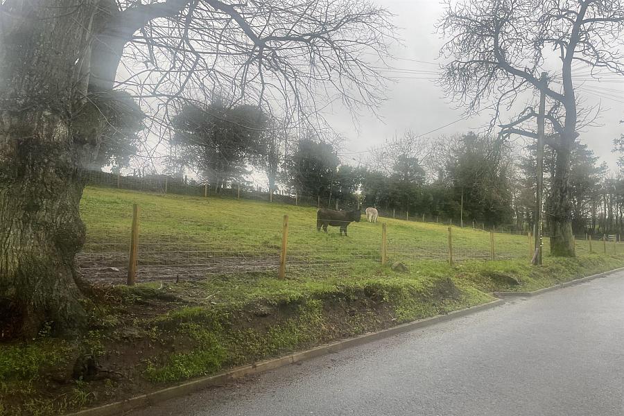 15 Lisdoart Terrace, Ballygawley