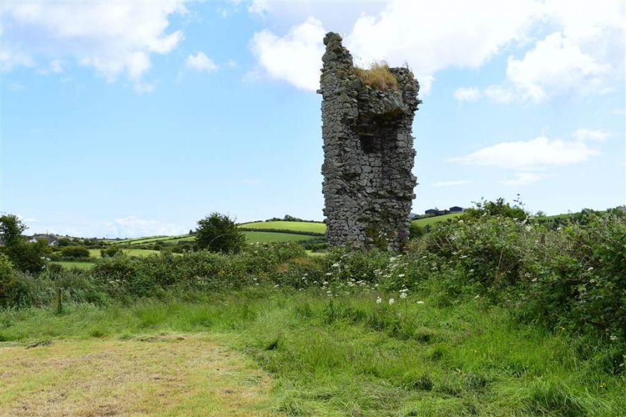 Smallholding with Medieval Castle, 60 Portaferry Road Smallholding with Medieval Castle, 60 Portaferry Road